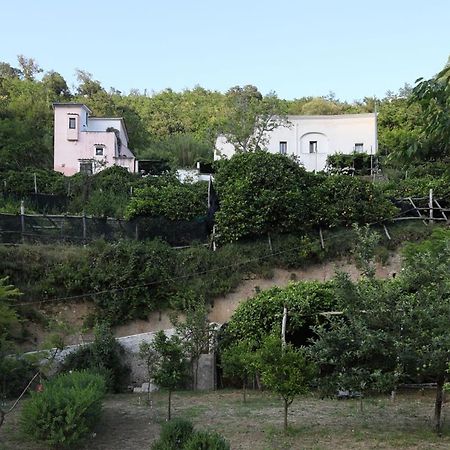 Bed and Breakfast Pietra Rosa Tramonti Exterior foto