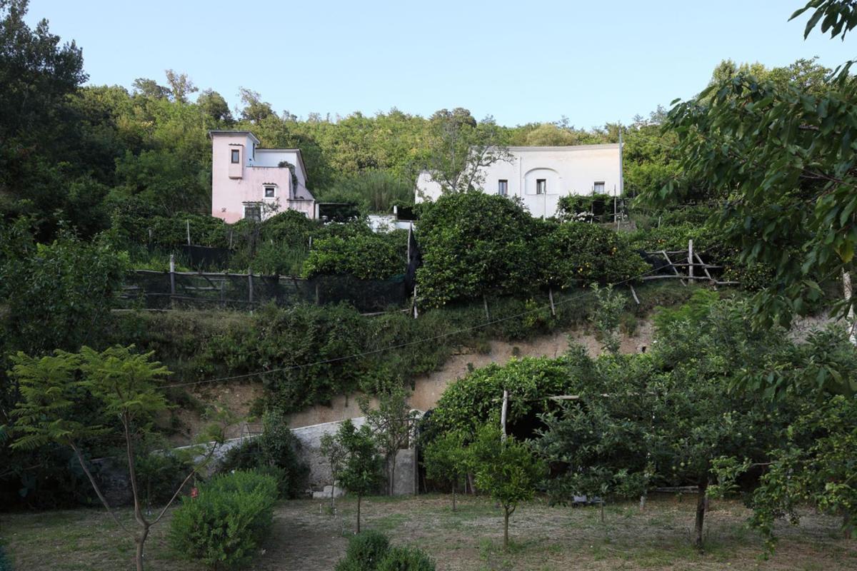 Bed and Breakfast Pietra Rosa Tramonti Exterior foto